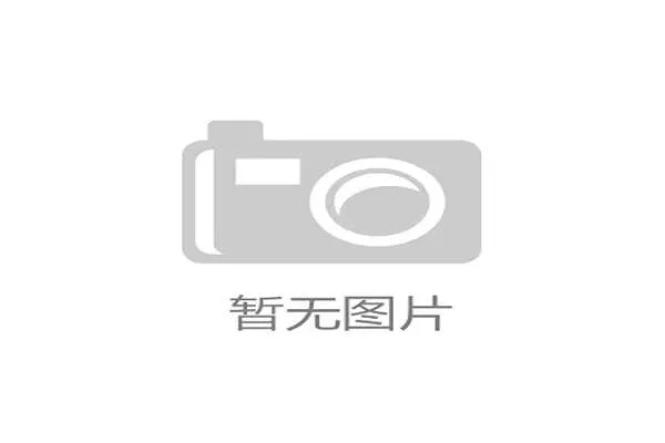 挪威队第四世界杯曾止步十六强